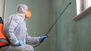 Why You Should Choose Our Mold Remediation Services in Pen Argyl, PA