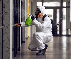 Reliable Pen Argyl, PA Mold Removal Solutions